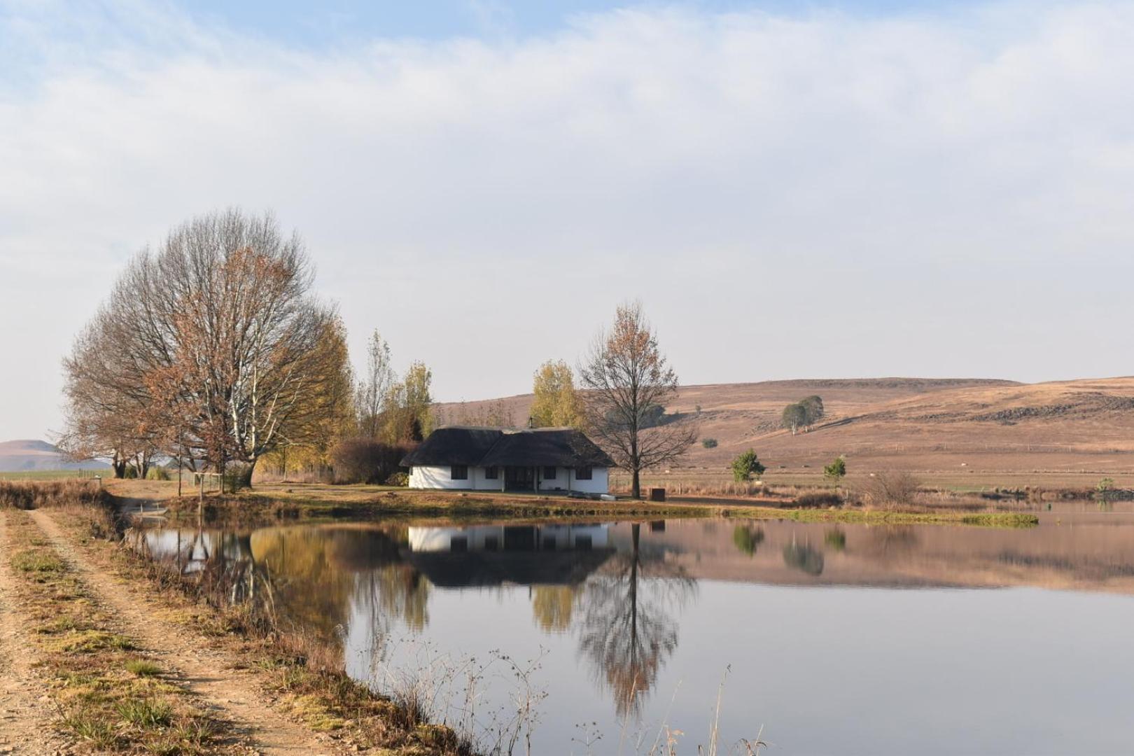Dieu Donne Cottage Underberg Exteriör bild